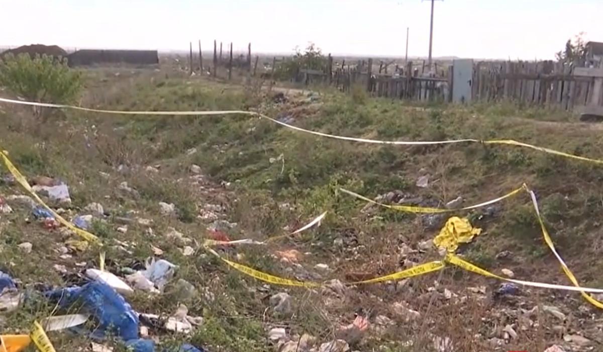 Tragedie șocantă în România: Un copil de trei ani a fost ucis de o haită de câini, iar autoritățile rămân pasive